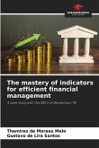 The mastery of indicators for efficient financial management