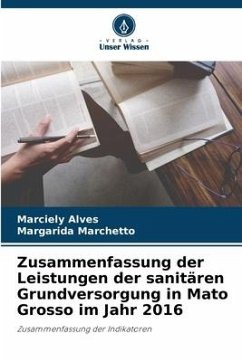 Cover Zusammenfassung der Leistungen der sanitären Grundversorgung in Mato Grosso im Jahr 2016