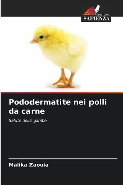 Pododermatite nei polli da carne - Zaouia, Malika