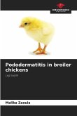 Pododermatitis in broiler chickens