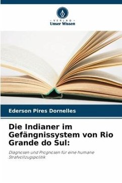 Die Indianer im Gefängnissystem von Rio Grande do Sul: - Pires Dornelles, Ederson