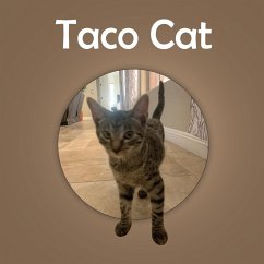 Cover Taco Cat