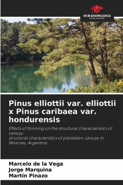 Pinus elliottii var. elliottii x Pinus caribaea var. hondurensis - de la Vega, Marcelo;Marquina, Jorge;Pinazo, Martín