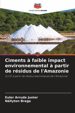 Ciments à faible impact environnemental à partir de résidus de l'Amazonie - Arruda Junior, Euler;Braga, Nállyton