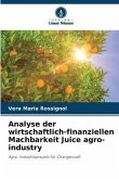 Analyse der wirtschaftlich-finanziellen Machbarkeit Juice agro-industry