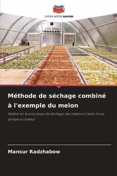 Méthode de séchage combiné à l'exemple du melon - Radzhabow, Mansur