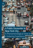 A Public Encounter in New York City (eBook, PDF)