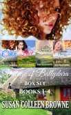 Village of Ballydara Box Set, Books 1-4 (eBook, ePUB) Village of Ballydara Box Set, Books 1-4 (eBook, ePUB)