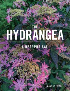 Cover The Hydrangea (eBook, ePUB)