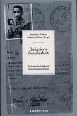 Emigrierte Sozialarbeit (eBook, PDF)