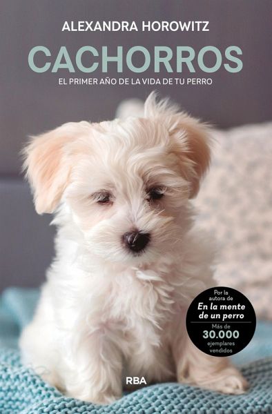 Cachorros (eBook, ePUB) Cachorros (eBook, ePUB)