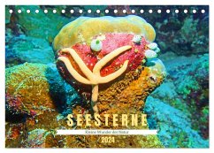 Seesterne - Kleine Wunder der Natur (Tischkalender 2024 DIN A5 quer), CALVENDO Monatskalender - Heß, Andrea