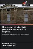 Il sistema di giustizia penale e le carceri in Nigeria