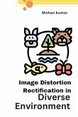 Image distortion rectification in diverse environments