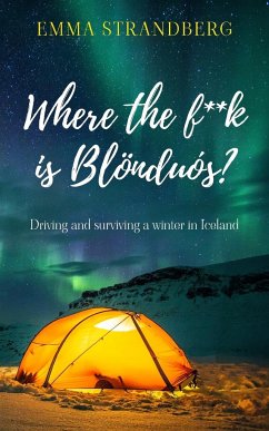 Where the f**k is Blönduós?: Driving and surviving a winter in Iceland