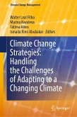 Climate Change Strategies: Handling the Challenges of Adapting to a Changing Climate (eBook, PDF)