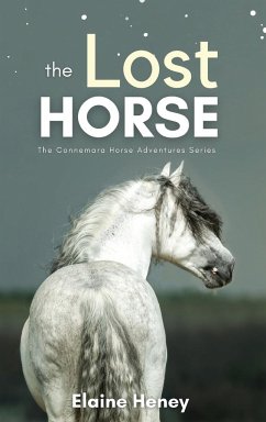 The Lost Horse - Book 6 in the Connemara Horse Adventure Series for Kids   The Perfect Gift for Children - Heney, Elaine