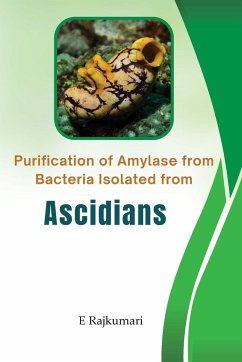 Purification Of Amylase From Bacteria Isolated from Ascidians - Rajkumari, E.