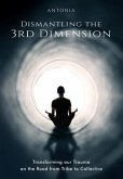 Dismantling the 3rd Dimension (eBook, ePUB)