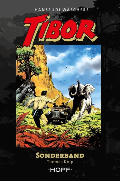 Tibor Sonderband (eBook, ePUB)