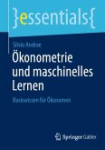 Ökonometrie und maschinelles Lernen (eBook, PDF)