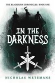 In the Darkness (eBook, ePUB)