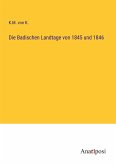 Die Badischen Landtage von 1845 und 1846