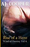 Rise of a Hero