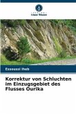 Korrektur von Schluchten im Einzugsgebiet des Flusses Ourika