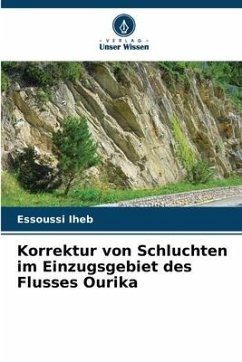 Korrektur von Schluchten im Einzugsgebiet des Flusses Ourika - Iheb, Essoussi