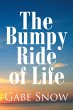 The Bumpy Ride of Life - Bild 1