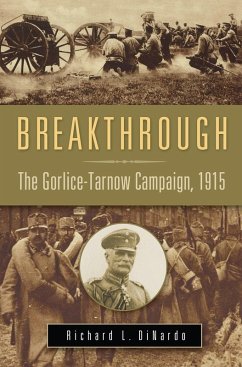 Cover Breakthrough (eBook, ePUB)