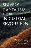 Slavery, Capitalism and the Industrial Revolution (eBook, ePUB)