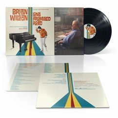 Brian Wilson - Long Promised Road - Wilson,Brian