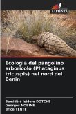 Ecologia del pangolino arboricolo (Phataginus tricuspis) nel nord del Benin