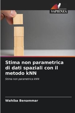 Stima non parametrica di dati spaziali con il metodo kNN - Benammar, Wahiba