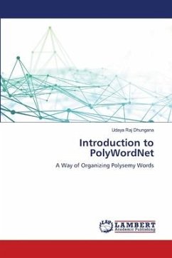 Introduction to PolyWordNet