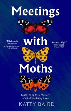 Meetings with Moths - Baird, Katty