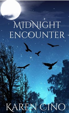 Midnight Encounter (eBook, ePUB) - Cino, Karen