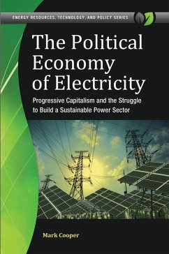 Cover The Political Economy of Electricity (eBook, ePUB)