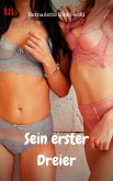 Sein erster Dreier (eBook, ePUB)