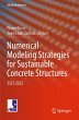 Numerical Modeling Strategies for... - Bild 1