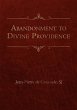 Abandonment to Divine Providence - Bild 1