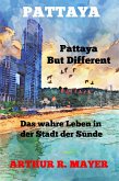 Pattaya (eBook, ePUB)