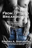 From Bridges to Breakdowns (eBook, ePUB)