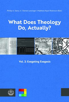 What Does Theology Do, Actually? (eBook, PDF)