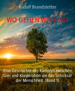 WO GEHEN WIR HIN? (eBook, ePUB) - Brandstetter, Rudolf