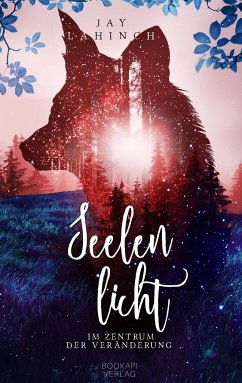 Cover Seelenlicht