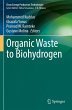 Organic Waste to Biohydrogen - Bild 1