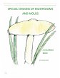 Special Designs of Mushrooms and Molds - Bild 1